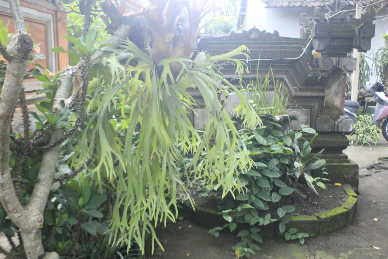 Séjour chez l'habitant Umah De Arlika Ubud